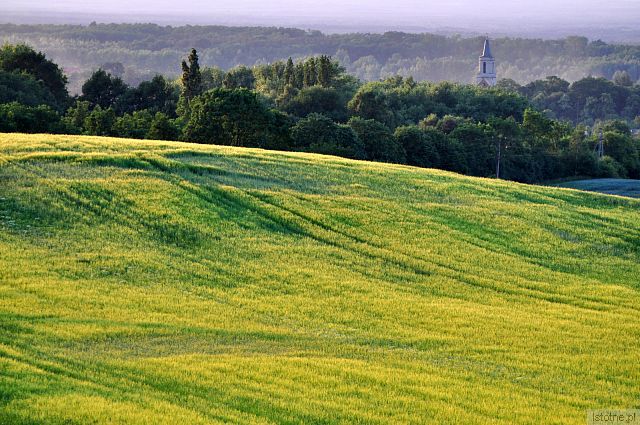WZGÓRZA O ZMIERZCHU