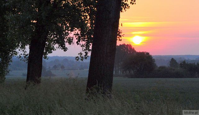 WZGÓRZA DALKOWSKIE O ŚWICIE