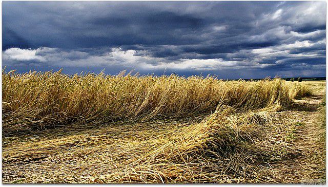 na chwilę przed  ulewą