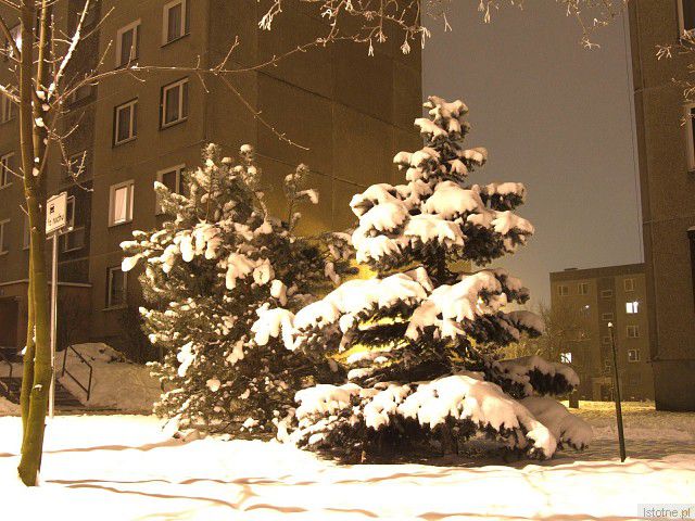 Zima na ulicy Kosiby :-)