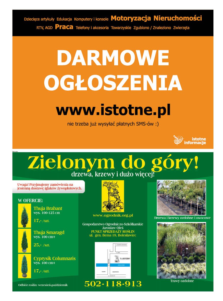 Issue 53