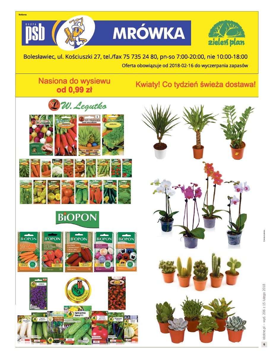 Issue 206
