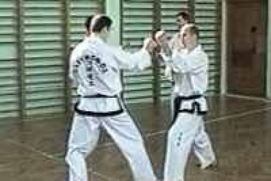 taekwondo sztuki walki