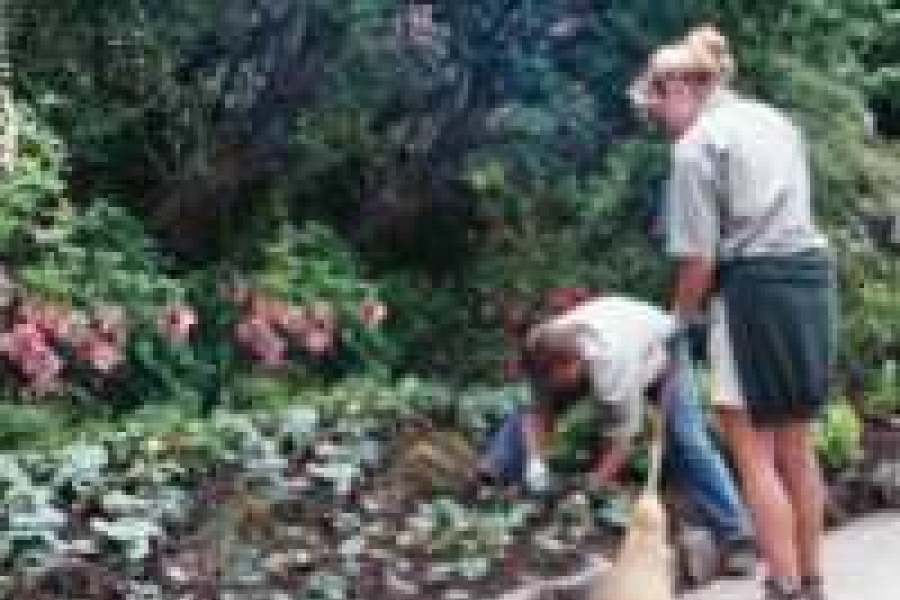 praca ogród miotła