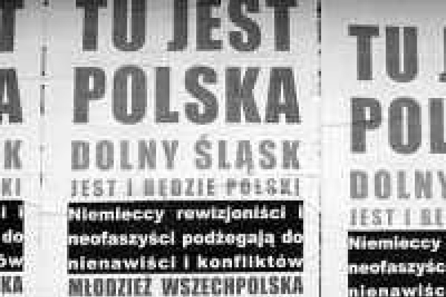młodzież wszechpolska plakat