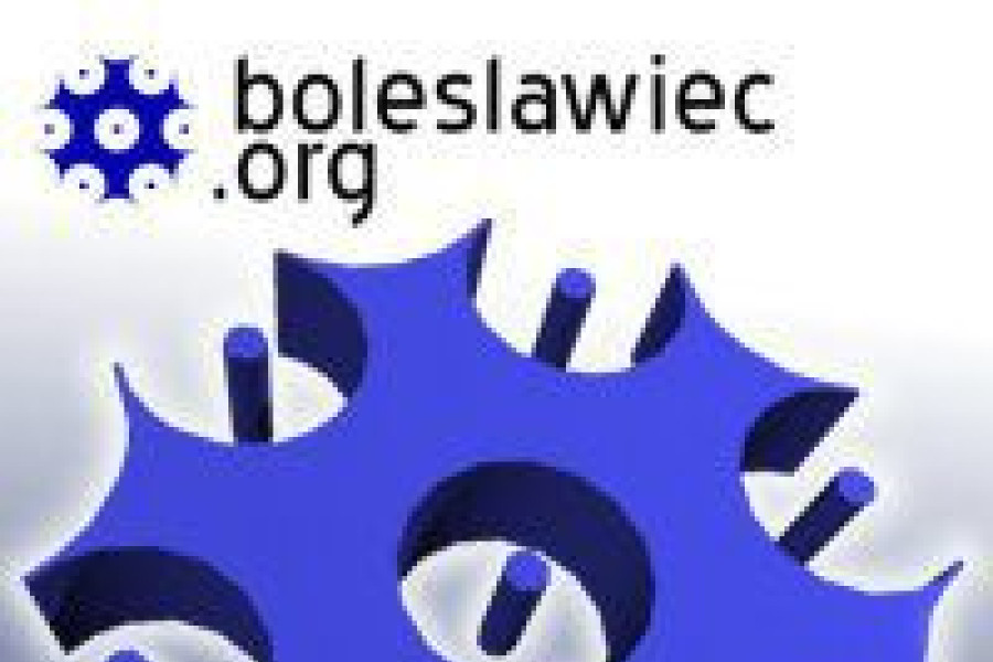logo borg boleslawiec.org