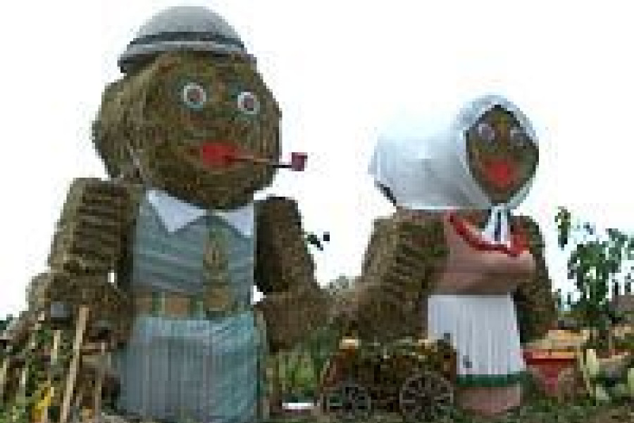 dożynki brzeźnik gokis