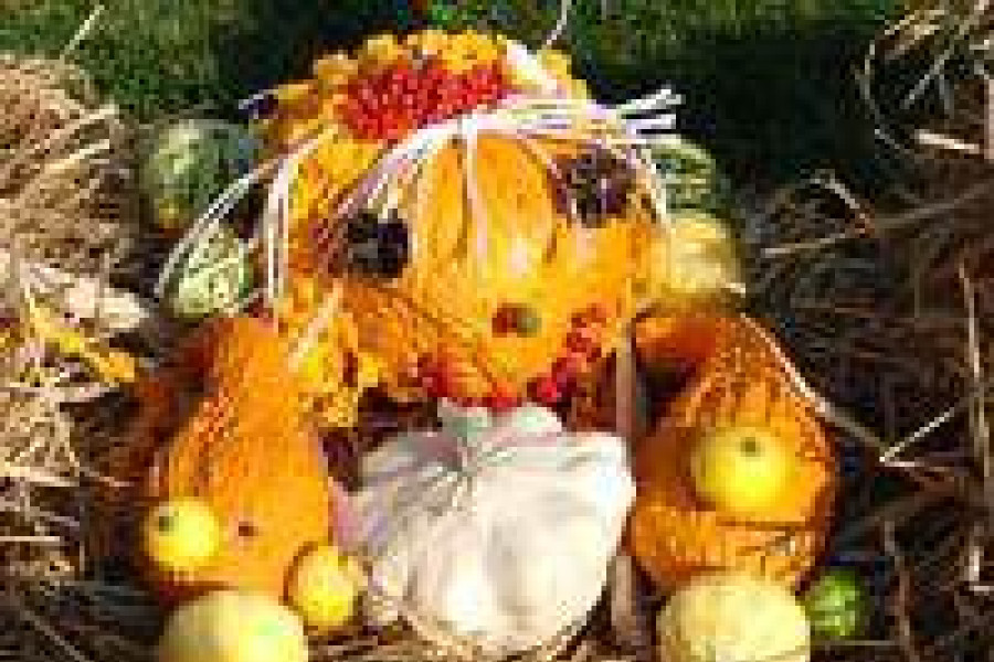 dynia festyn gokis ocice