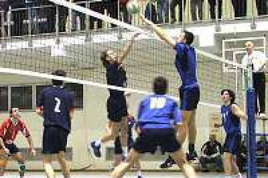 siatkarz top bolesławiec