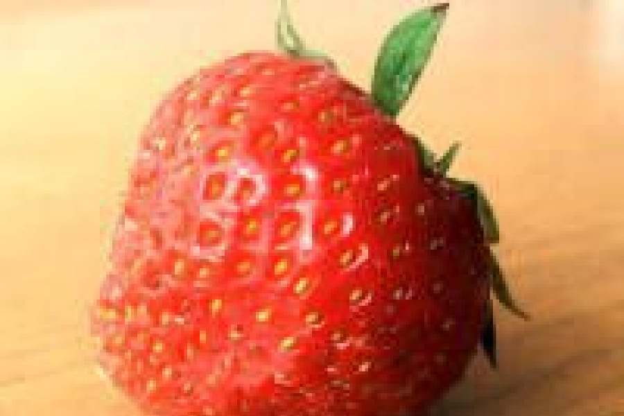 truskawka truskawkowe święto