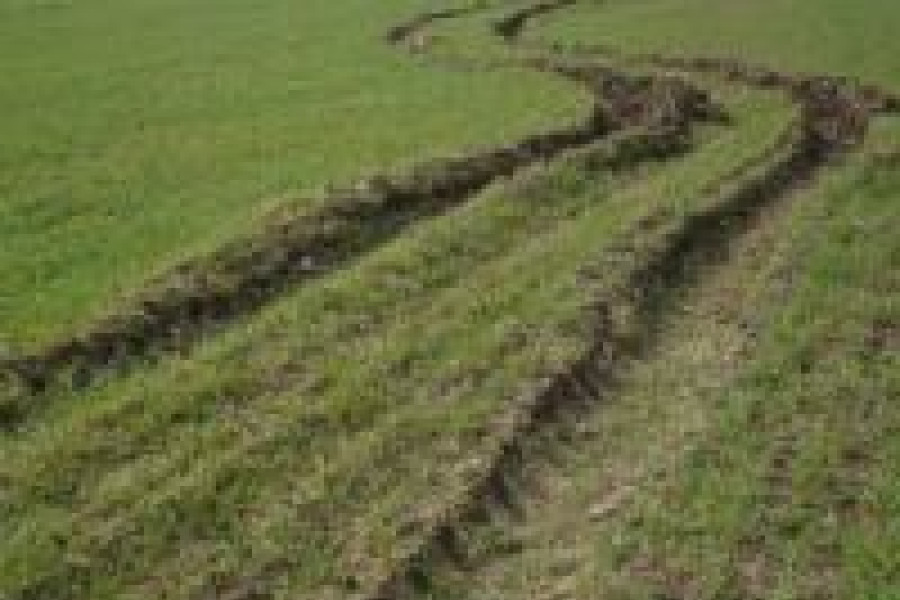 pole warta bolesławiecka obornik gmina