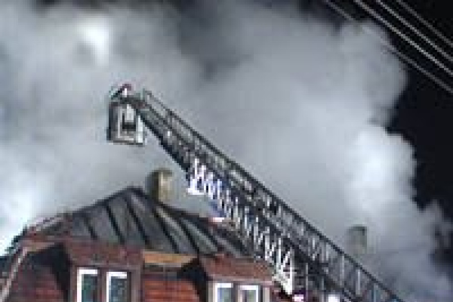 dym drabina wierzbowa