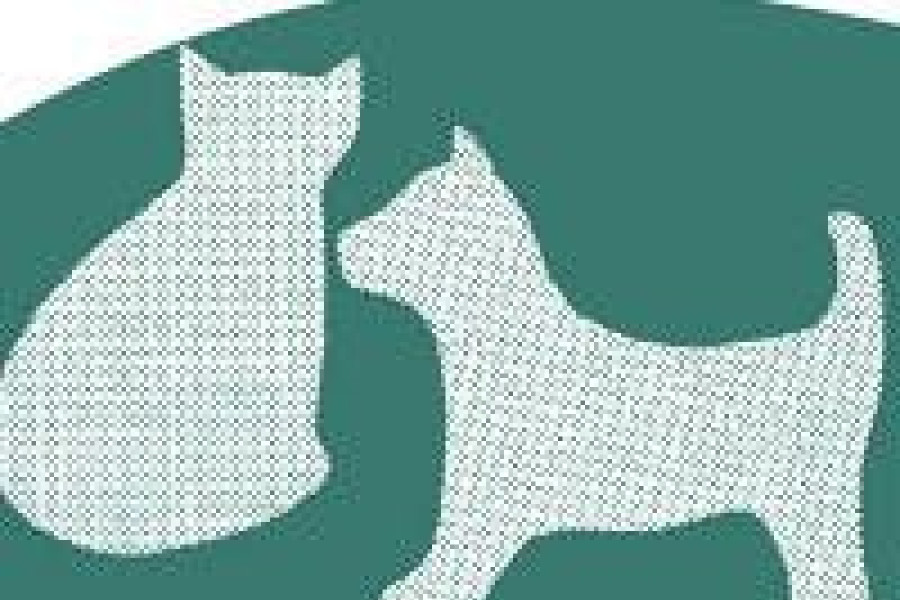 plakat akcja gliniana znajda