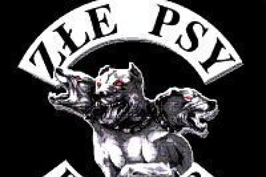 logo zespół złe psy