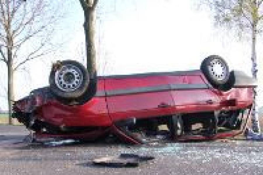 volkswagen dachowanie