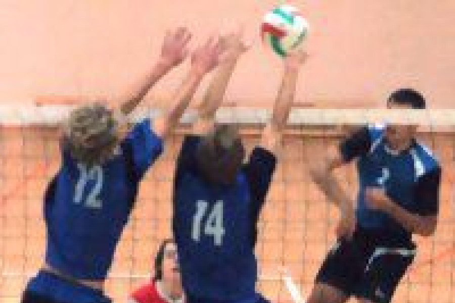 siatkarz top bolesławiec