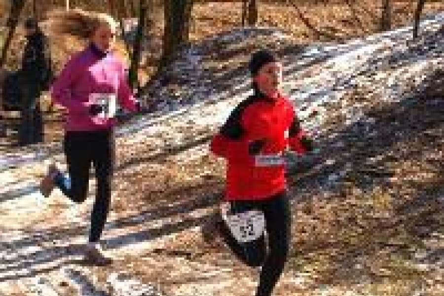 angelika haniszewska