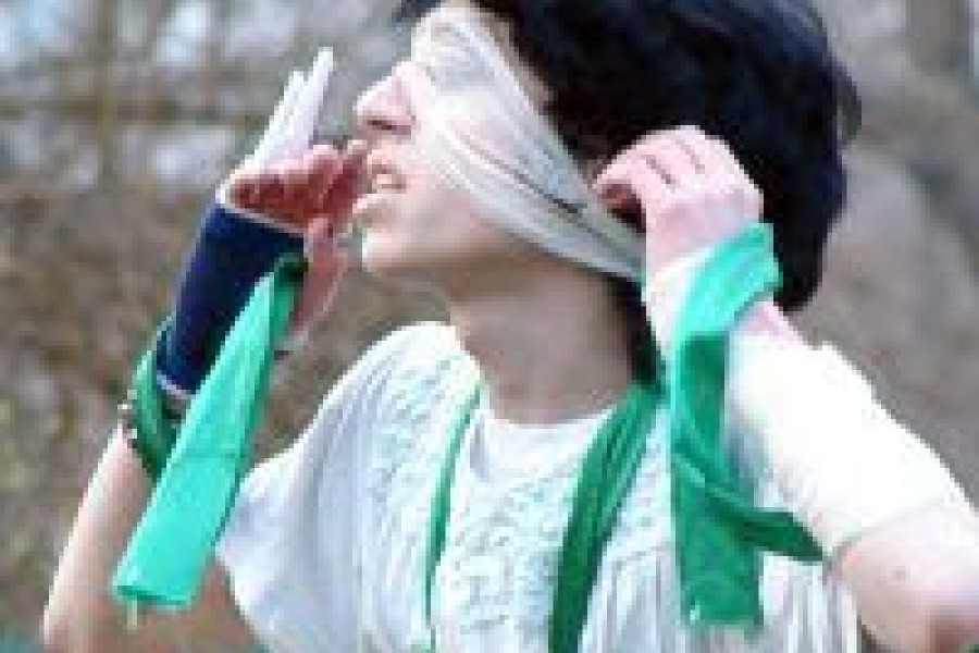 Tygrys Ogłuszony Domem