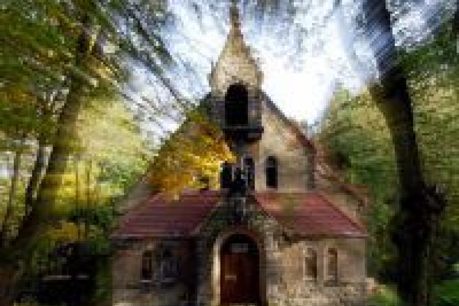 Zdjęcie Jerzy Paluszczyszyn