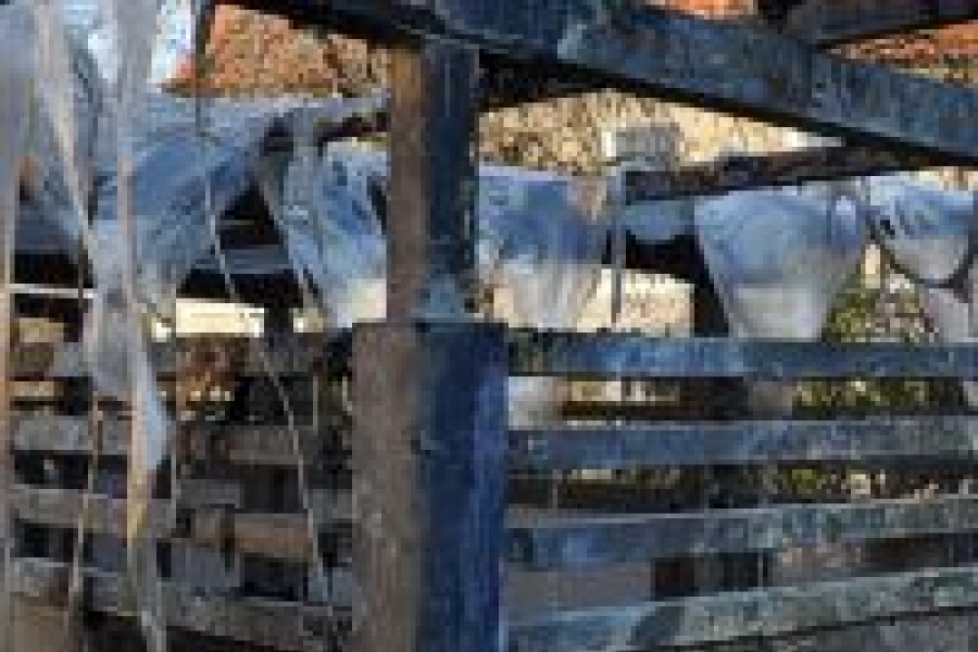 Zdemolowany śmietnik