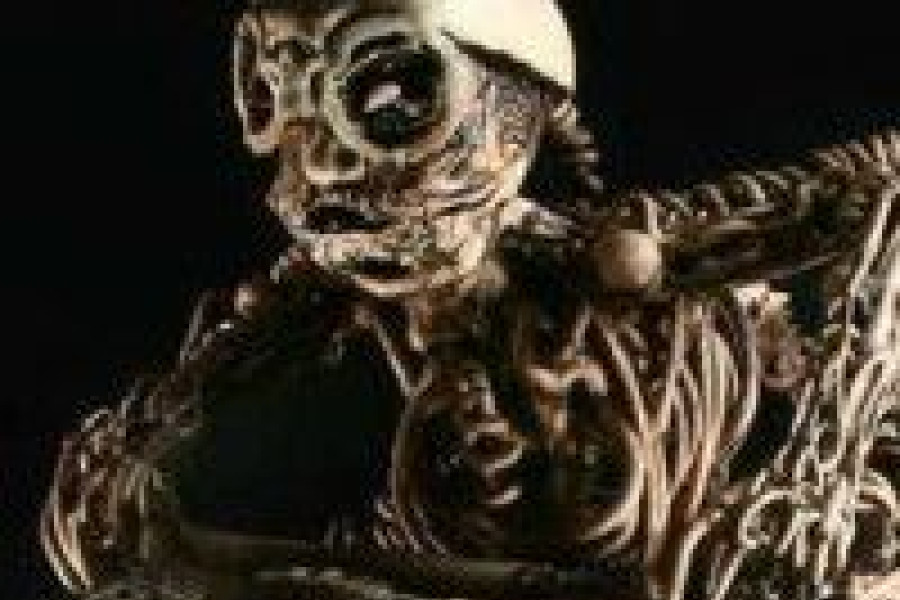 Praca Kazimierz Kalkowski