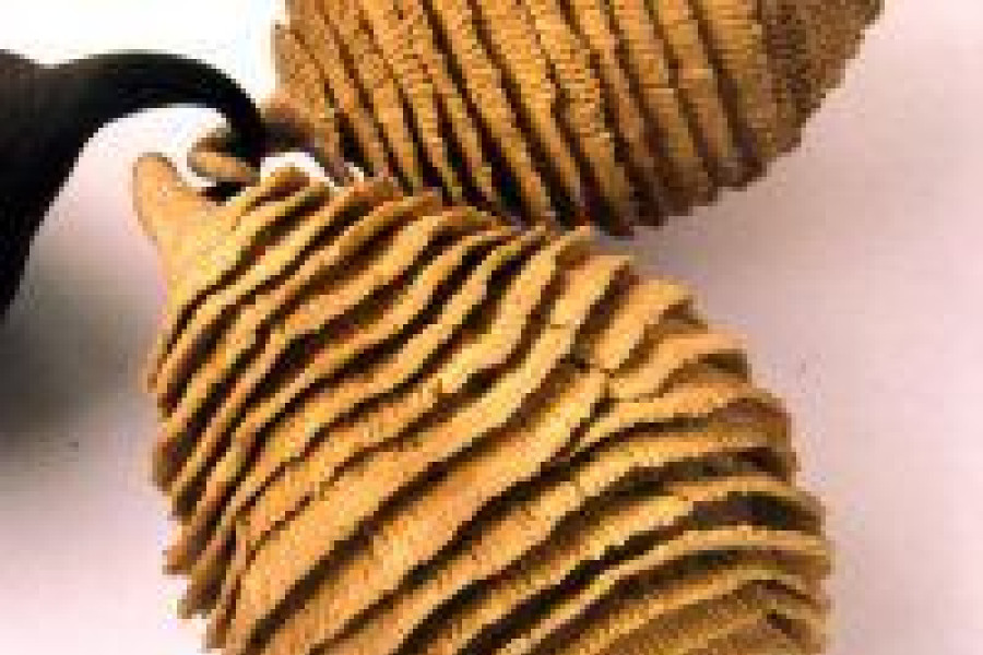 praca Jolanta Krasińska