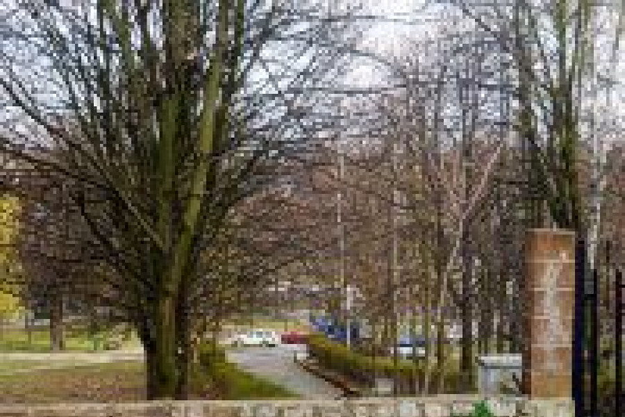 cmentarz ogrodzenie kradzież