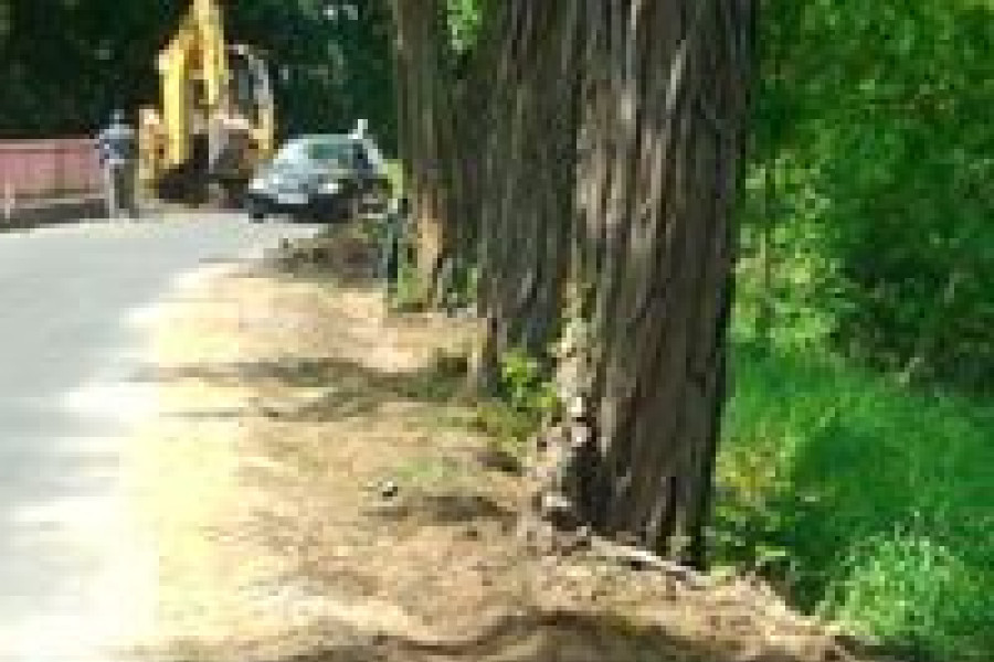 chodnik bolesławice