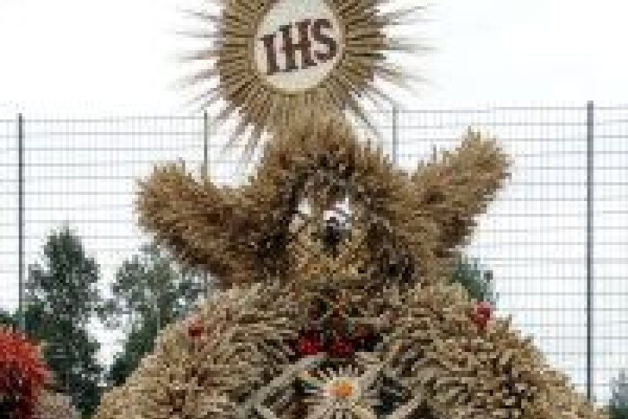 wieniec kraśnik dolny