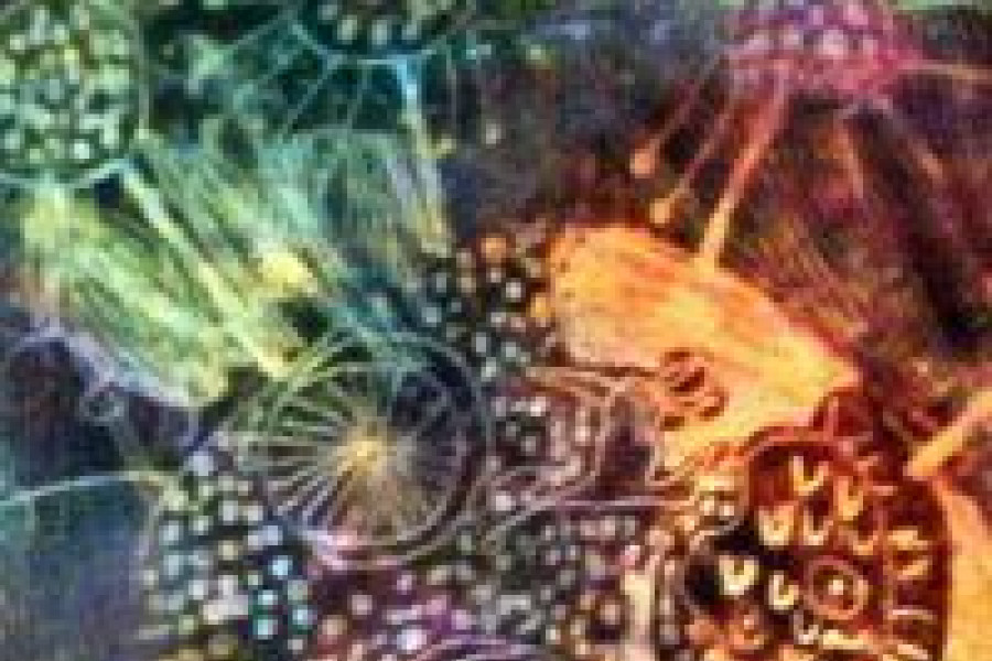 praca Mateusza Herowskiego