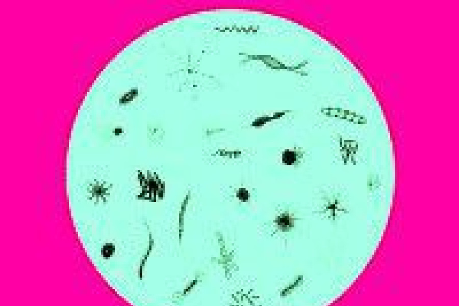 fragment plakat ferie mdk