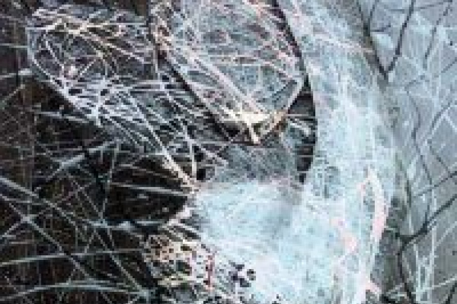 praca Mateusz Grobelny