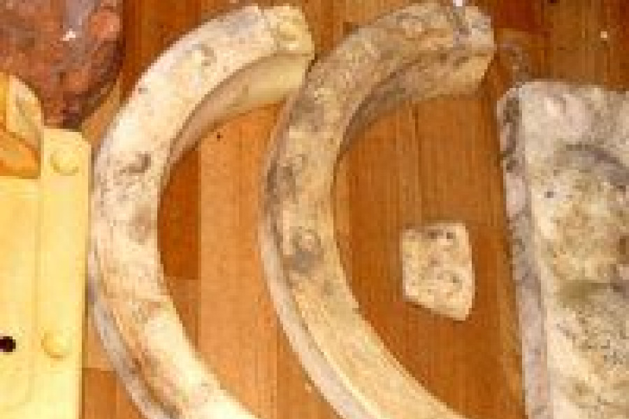 forma ceramika kradzież