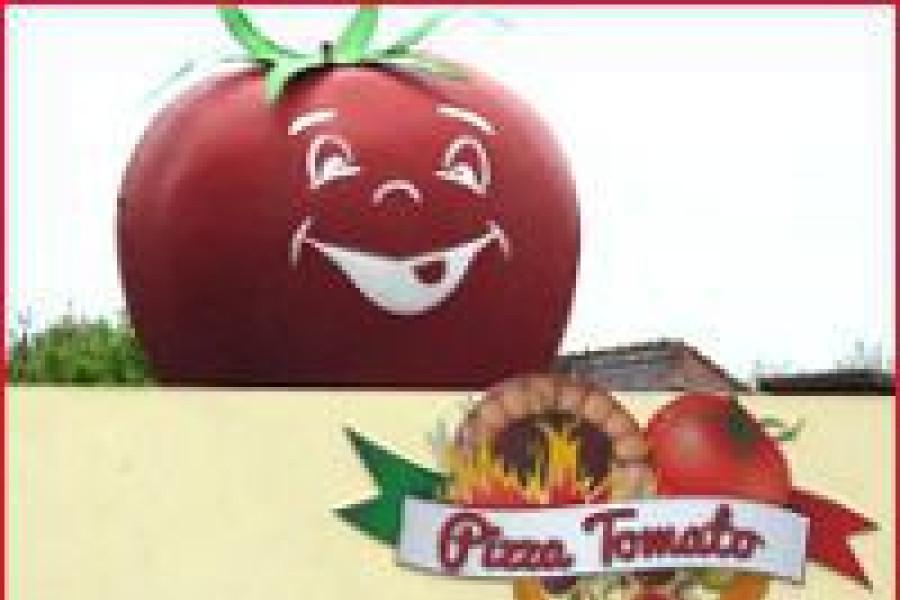 pizza tomato pizzeria tomaszów