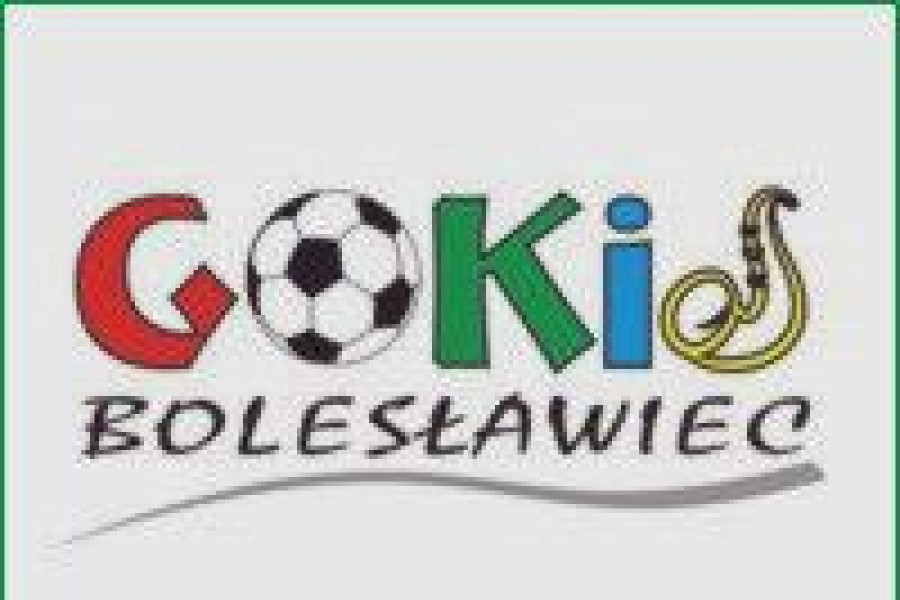 logo gokis