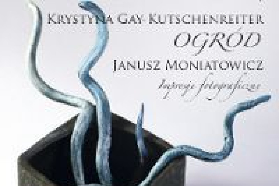 sztuka zdjęcie impresje