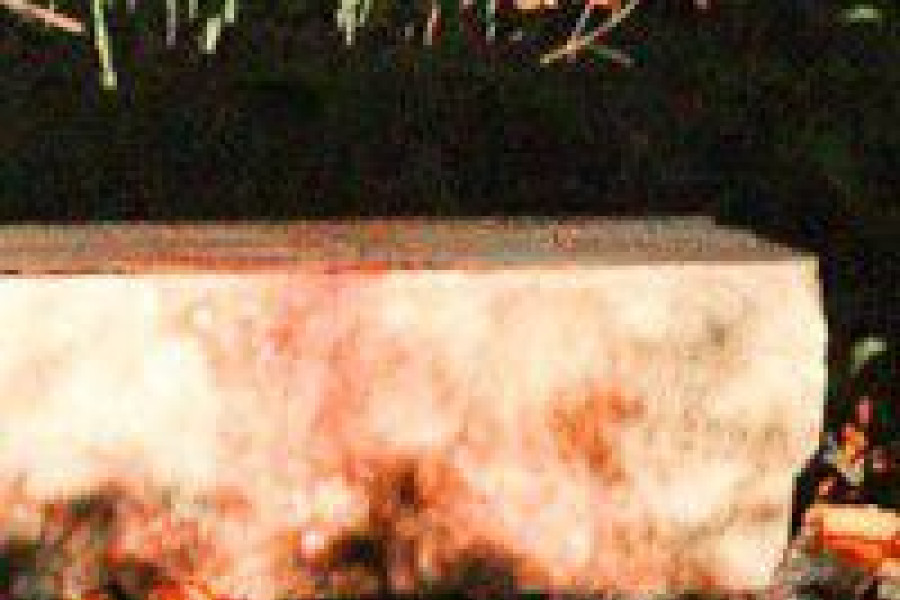 kamień krew bójka vega