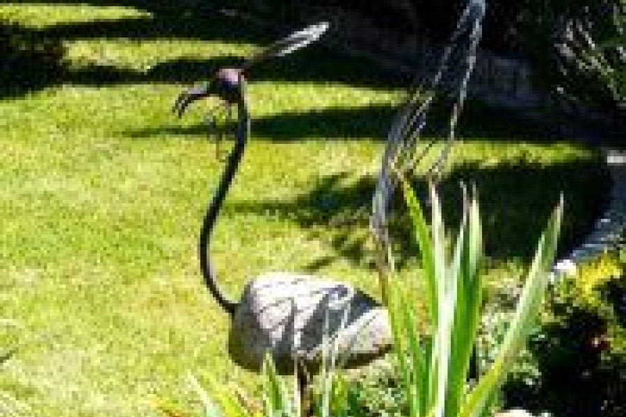 zieleń zagroda konkurs