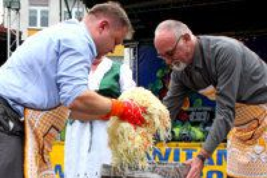 wójt wicewójt kapusta