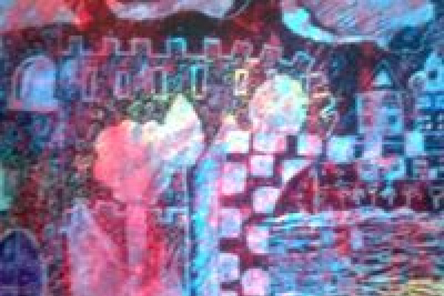 Praca Wiktorii Miczko