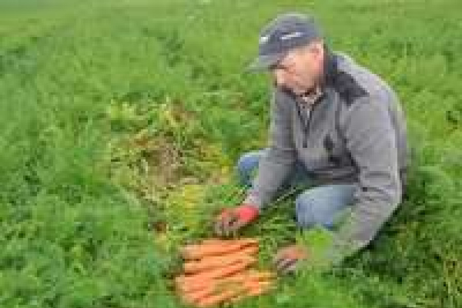 Stanisław Kuduk rolnik