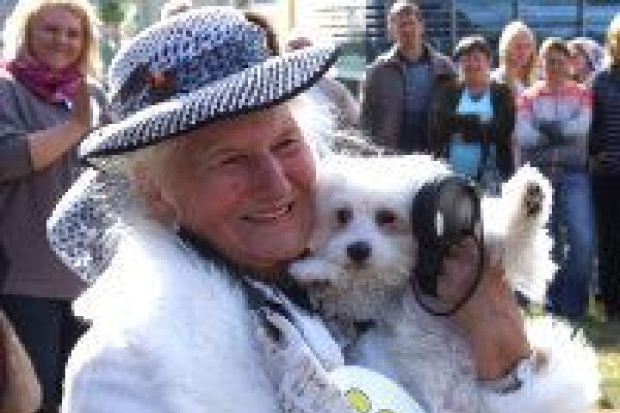 pies pokaz dni miasta kobieta