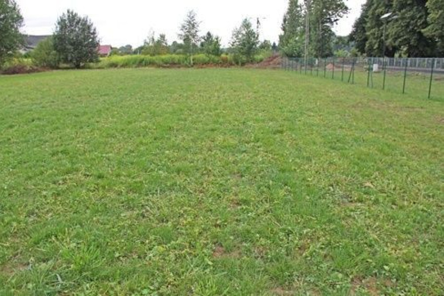 boisko goździkowa legnica