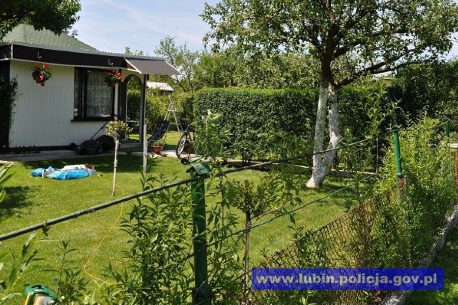 ogródek działkowy lubin