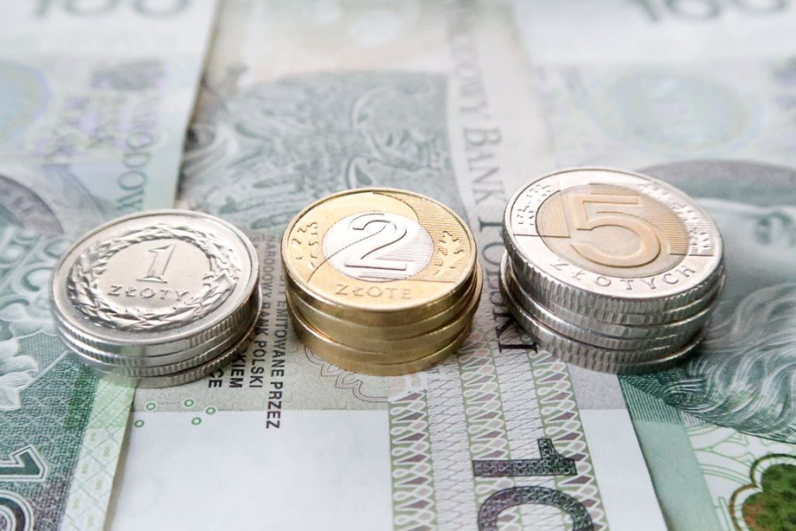 pieniądze bilon monety