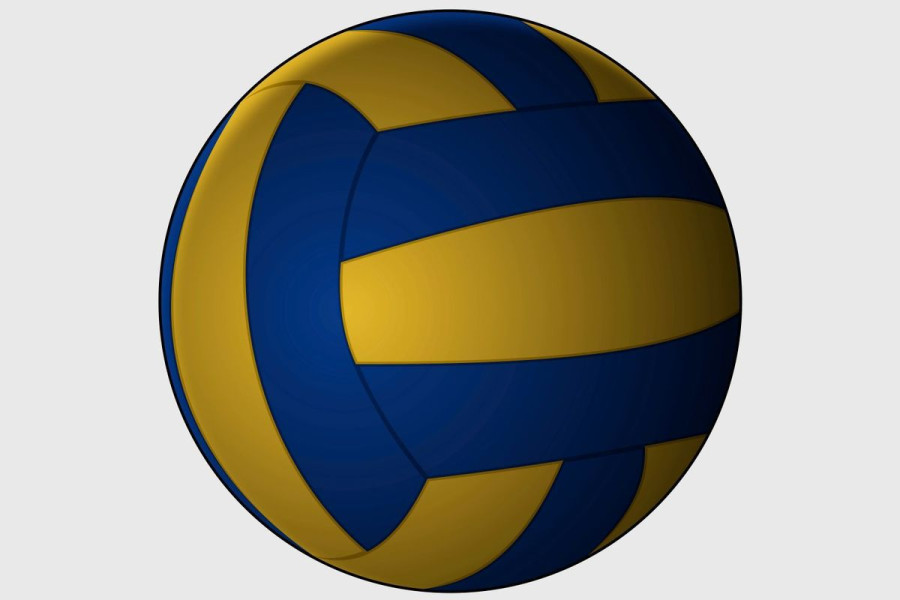 piłka siatkówka