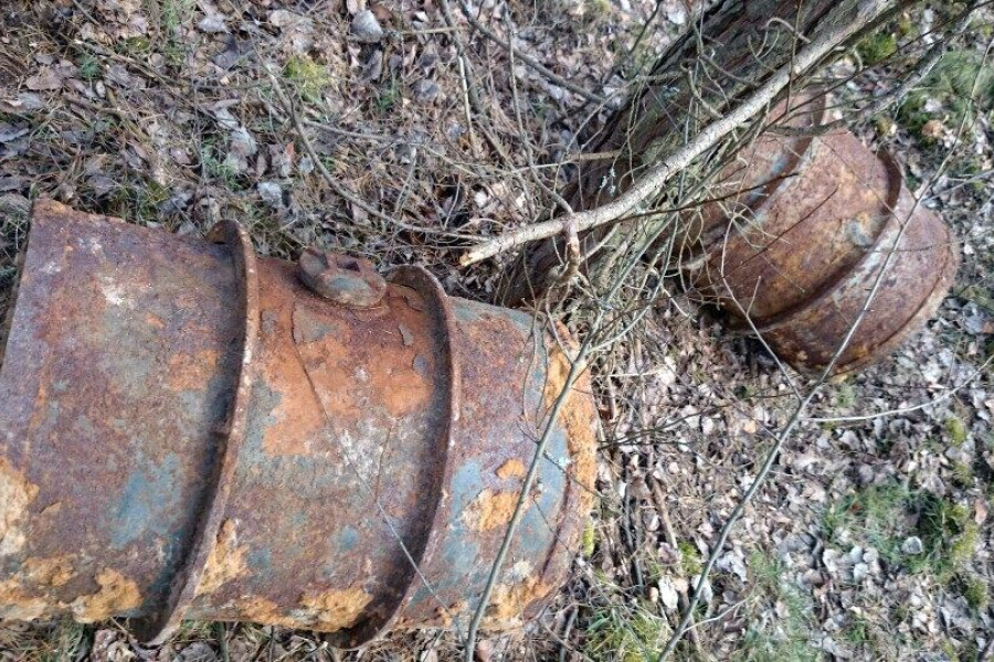 beczka świętoszów las