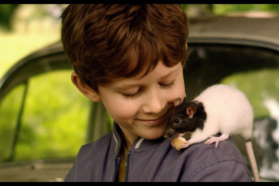 plakat film szczur chłopiec