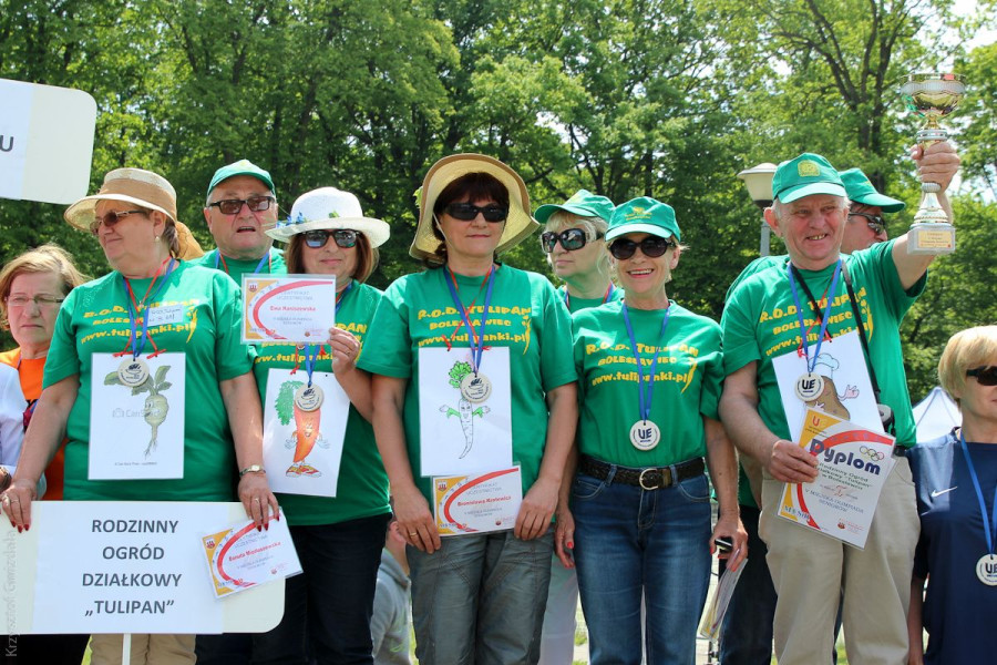 Ogrody Działkowe Tulipan