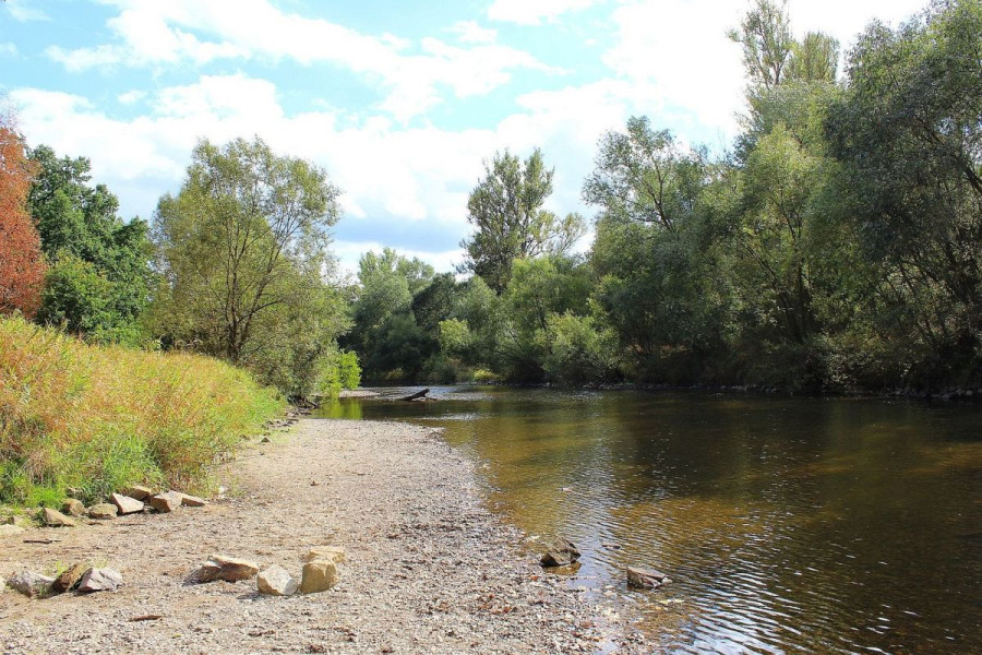 rzeka bóbr koryto susza